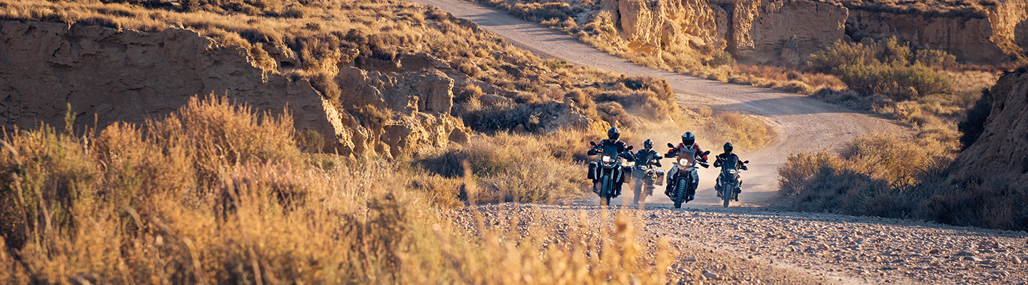 CONTACTO Y SUCURSALES